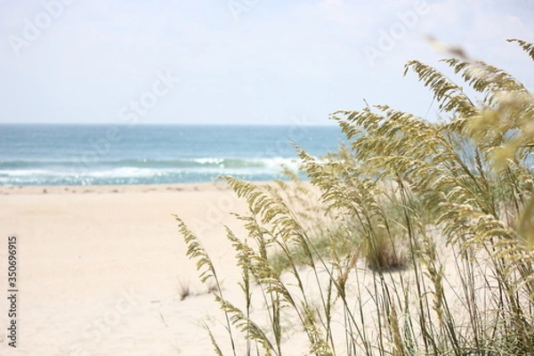 Obraz さあ、海だ！