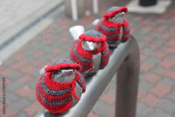 Obraz おそろいを着た鳥さん