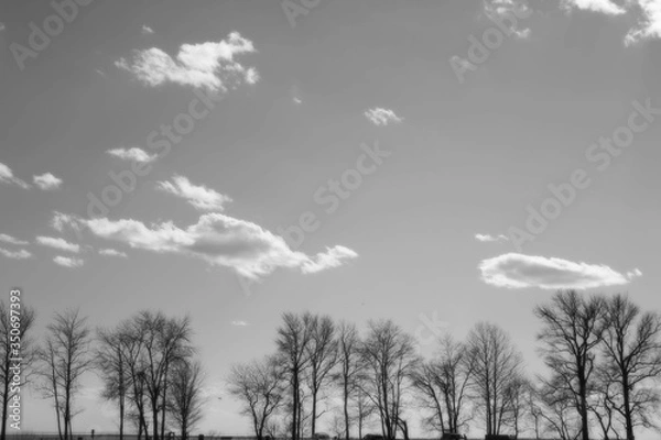 Obraz 晴れた日の公園