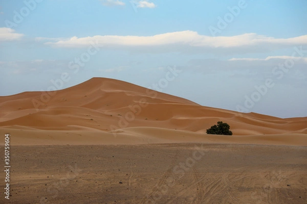Obraz Desert in Morocco.