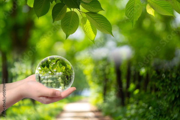 Obraz 신록이 우거진 초원에서 아이 손에 담긴  원형 구슬이 함께 하는 모습