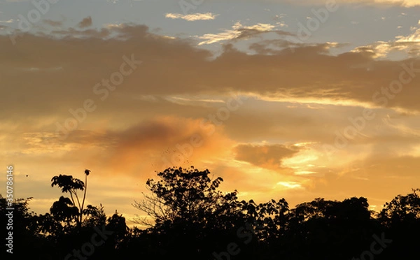 Obraz sunset in the amazon river