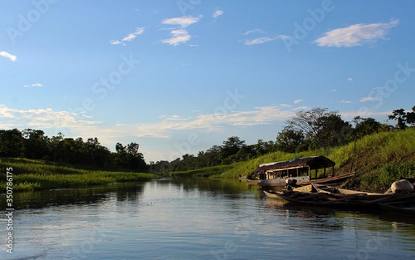 Obraz river in the amazon
