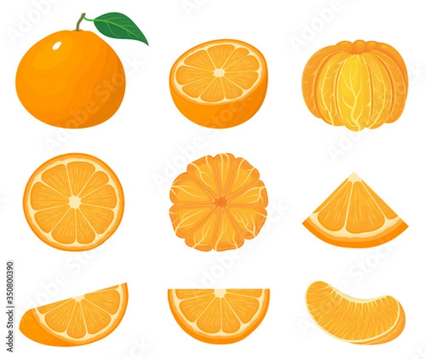 Obraz Set of fresh whole, half, cut slice tangerine or mandarin fruits isolated on white background. Summer fruits for healthy lifestyle. Organic fruit. Cartoon style. Vector illustration for any design.