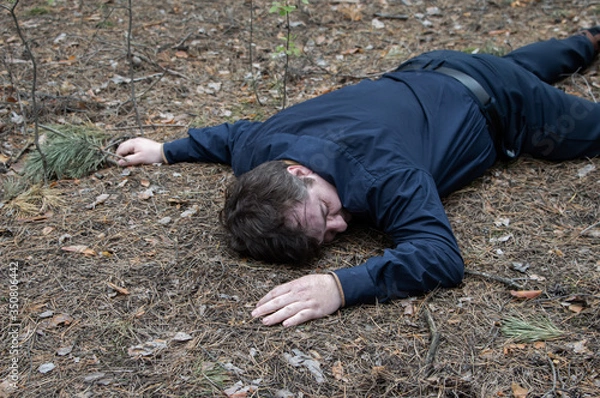 Obraz Murder in the woods. The body of a man in a blue shirt and trousers lies on the ground among the trees in the forest. Victim of an attack.