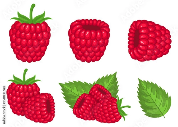 Obraz Set of fresh bright exotic raspberries isolated on white background. Summer fruits for healthy lifestyle. Organic fruit. Cartoon style. Vector illustration for any design.
