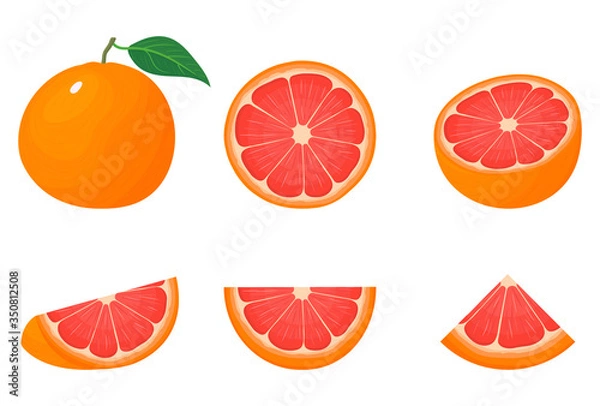 Obraz Set of fresh whole, half, cut slice grapefruit fruits isolated on white background. Summer fruits for healthy lifestyle. Organic fruit. Cartoon style. Vector illustration for any design.