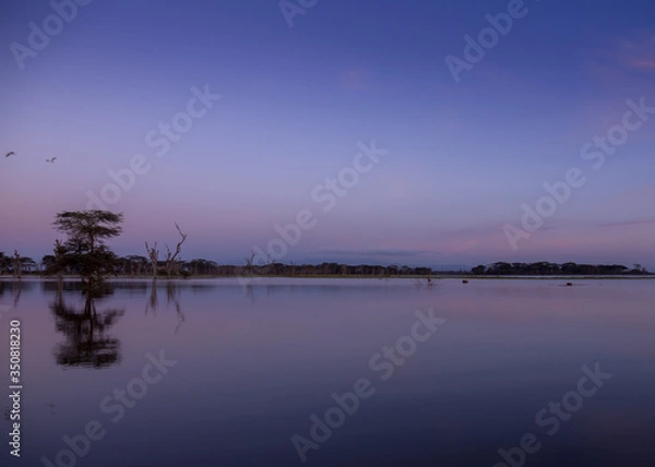 Obraz Blue and red sunrise at a lake
