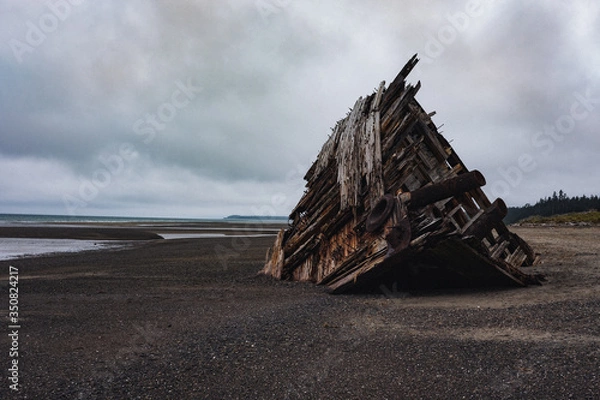 Obraz shipwreck on the beach