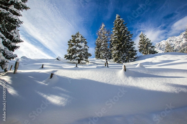 Obraz Snowy Montains