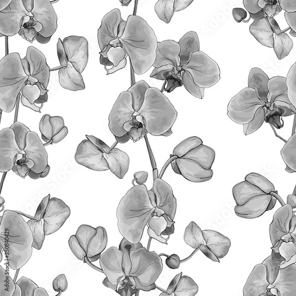 Fototapeta Monochrome seamless floral pattern with flowers orchid on white background. Hand drawn. Black and white. Vector stock illustration.