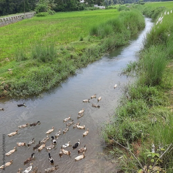 Obraz Village canal