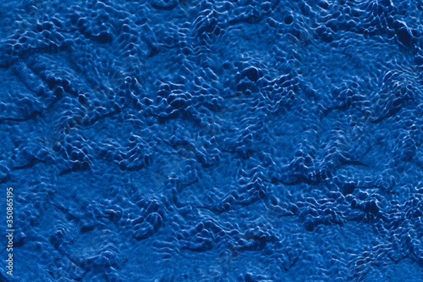 Obraz  Blu water in swimming pool rippled water detail background