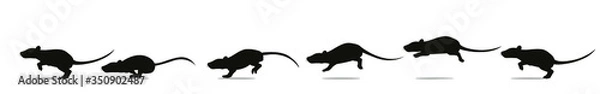 Fototapeta Full cycle of rat or mouse running animation. Vector illustration, silhouettes.