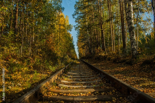 Fototapeta railroad in autumn forest