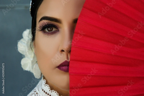 Obraz Flamenco dancer 