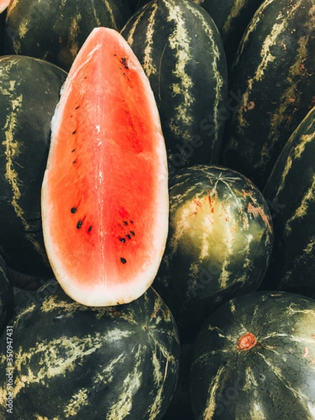 Obraz Sandia textura