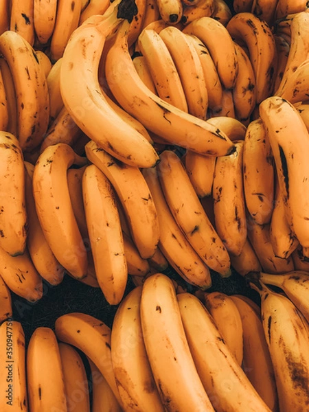 Obraz plátanos textura