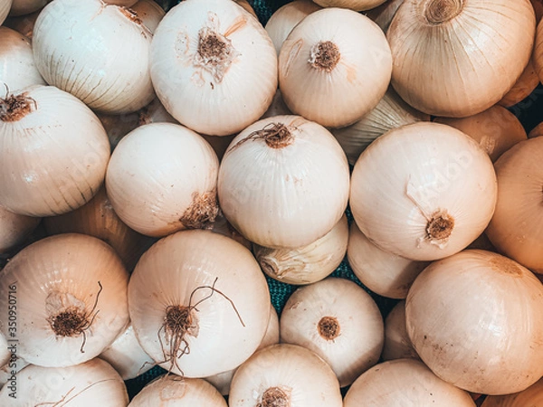 Obraz Onion texture.