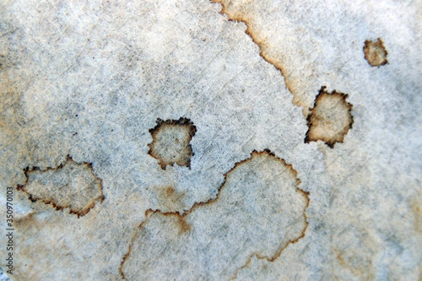 Obraz used coffee filter