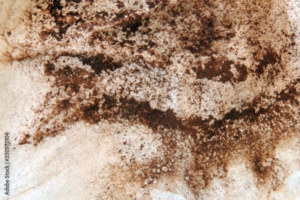 Obraz Texture with coffee Powder
