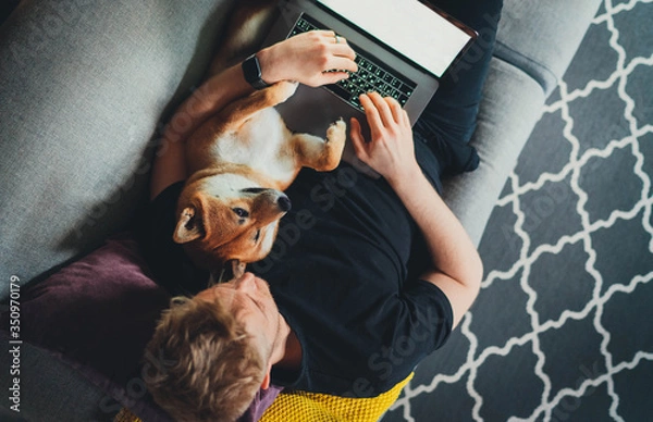 Obraz Young man lying on sofa with best friend shiba inu dog working remotely from home, Man using laptop computer having video call or ordering food online via app while relaxing on couch at home with pet