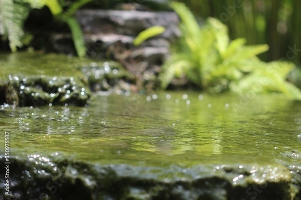 Obraz Close up water