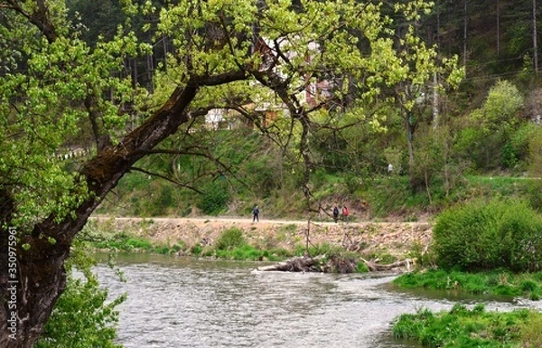 Fototapeta a promenade by the river in the spring
