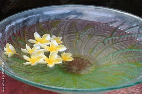 Obraz Floating flowers