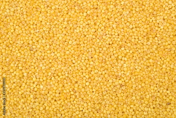 Obraz Yellow Millet background