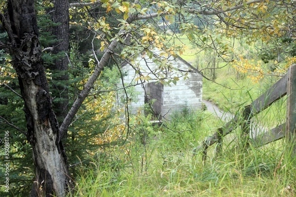 Obraz Fence in field