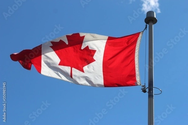 Obraz Canada Flag