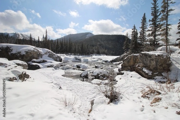 Obraz Winter landscape