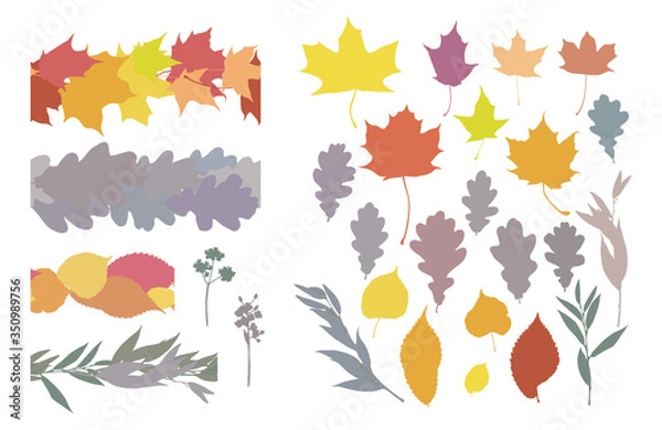 Fototapeta Isolated on white vector set of leaves silhouettes and horisontal endless brushes