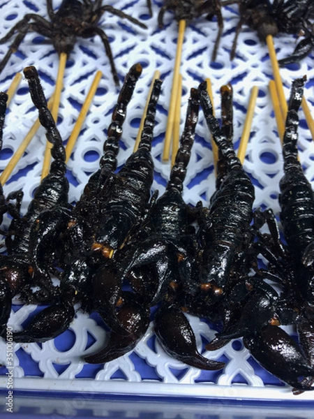 Obraz Thai Cooked Scorpion Sticks