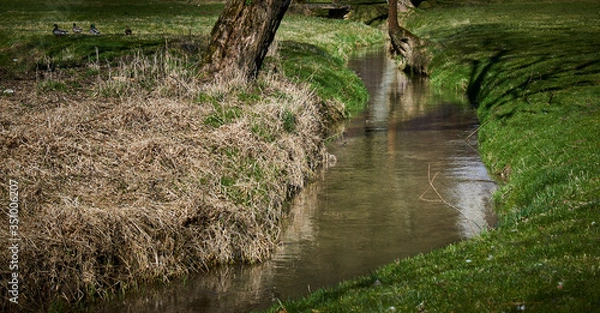 Fototapeta A quiet stream meanders around meadows and fields