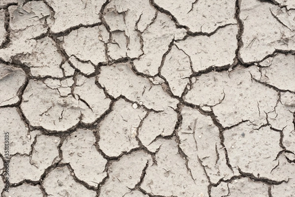 Fototapeta the texture of a dry, cracked surface of the soil
