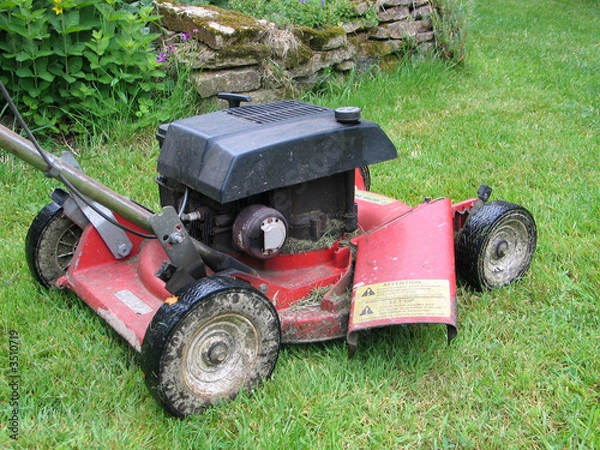 Obraz vieille tondeuse