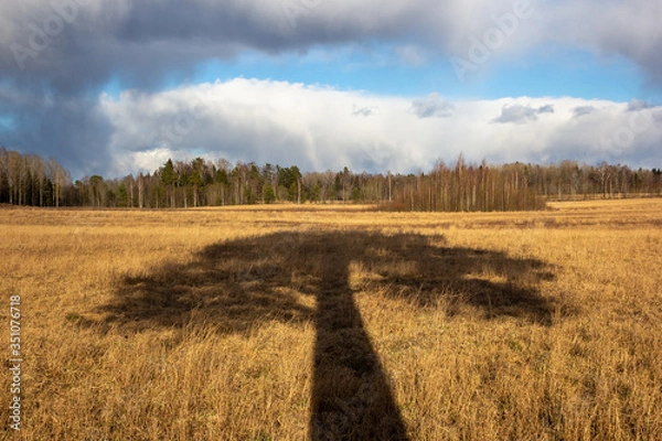 Fototapeta autumn landscape in the forest