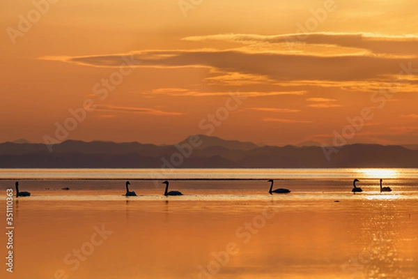 Fototapeta サロマ湖の夕景