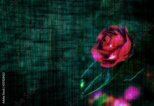 Obraz サザンカと木綿