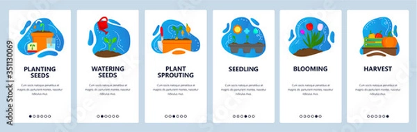 Fototapeta Planting website and mobile app onboarding screens vector template
