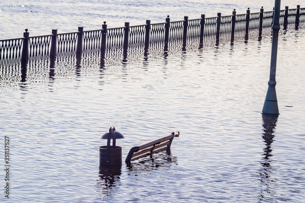 Fototapeta Bench on the embankment in the spring flood of the Volga in Rybinsk