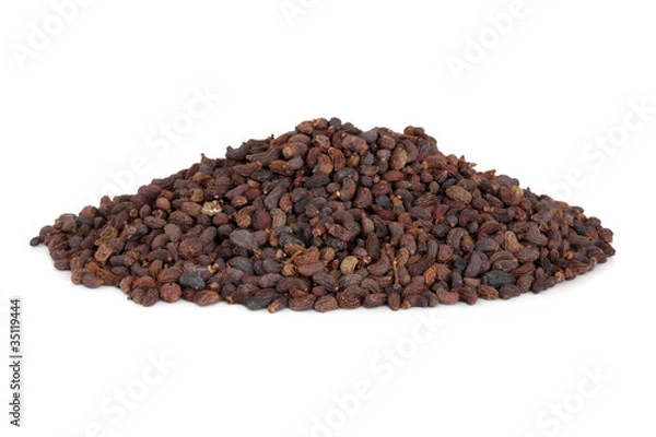 Obraz Privet Fruit Herb