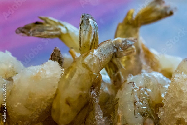 Obraz fresh shrimps on ice