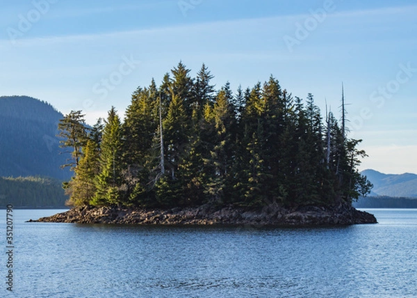 Obraz pine tree island in ocean