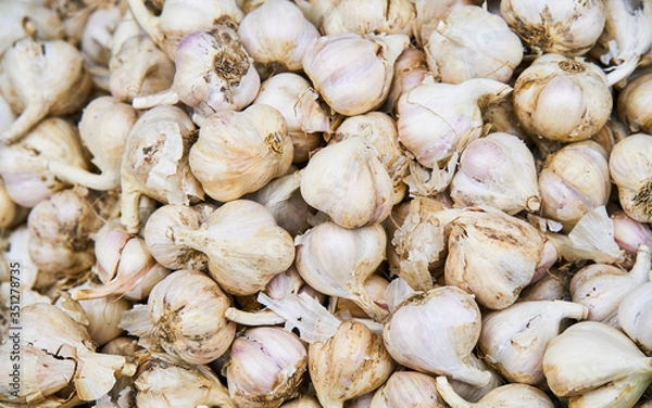 Obraz Dry garlics background reflex