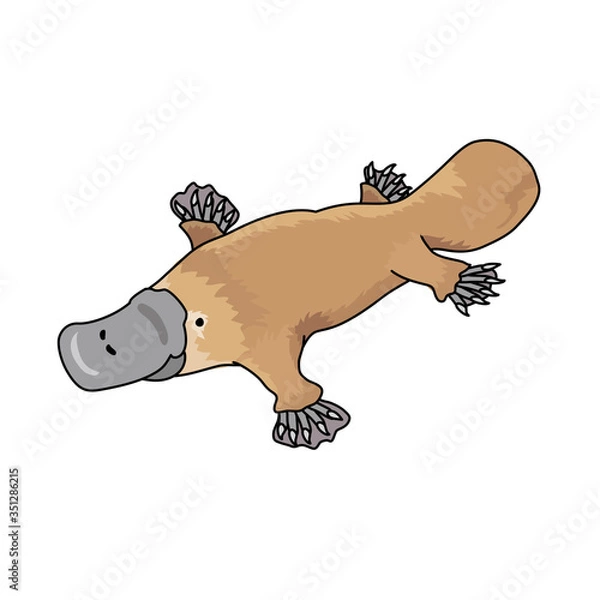 Obraz カモノハシ