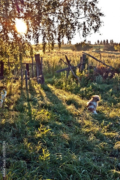 Obraz Autumn morning in the village