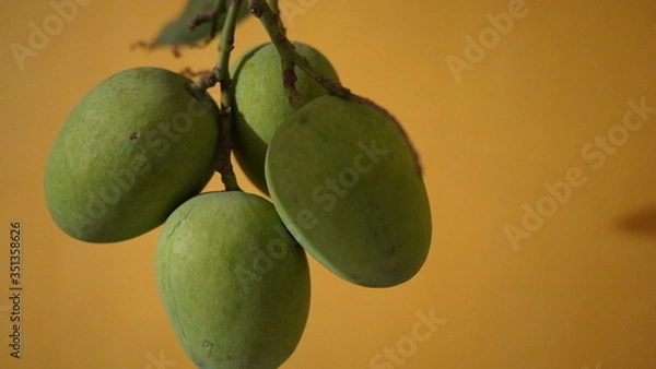 Obraz green mango